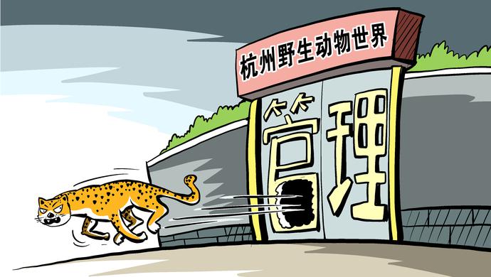【“金錢豹事件”責(zé)任人宣判】杭州“金錢豹外逃事件”相關(guān)責(zé)任人被一審宣判