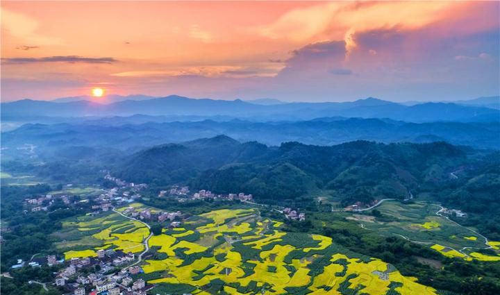 振興之花落于鄉(xiāng)鎮(zhèn)，發(fā)展之路始于厚土