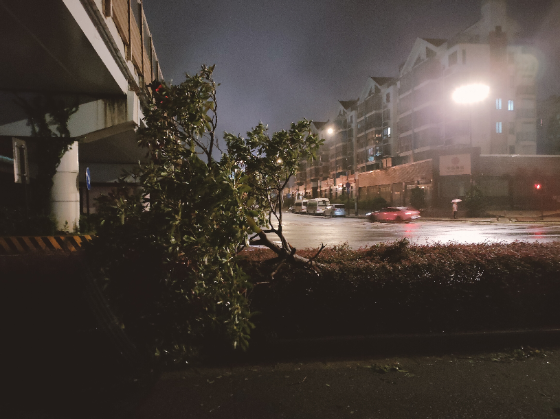 臺(tái)風(fēng)“梅花”登陸浙江舟山普陀