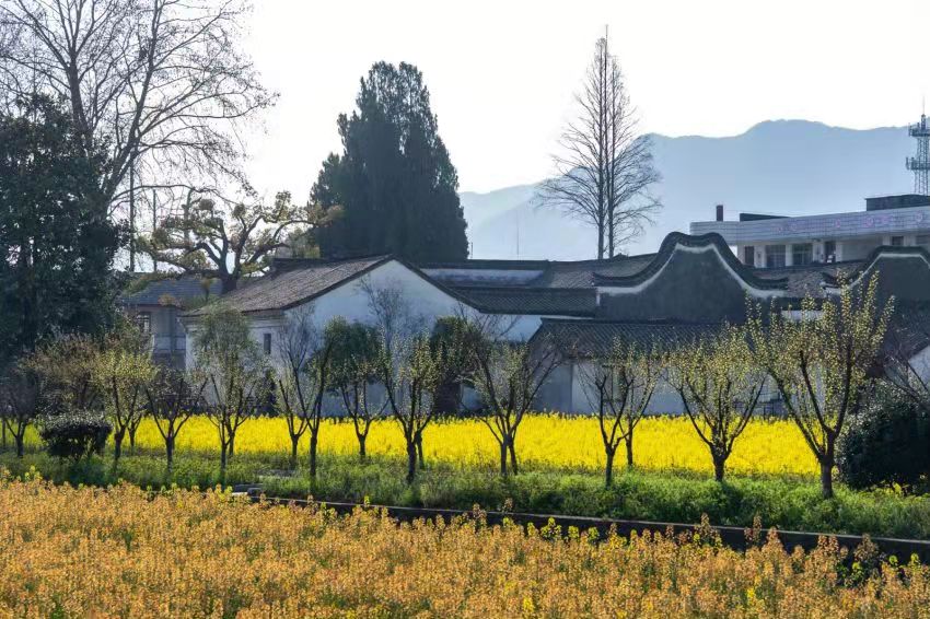 圖說桐廬（三十三）