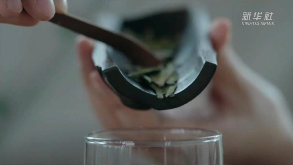 大美非遺｜茶香何出？探訪西湖龍井茶人