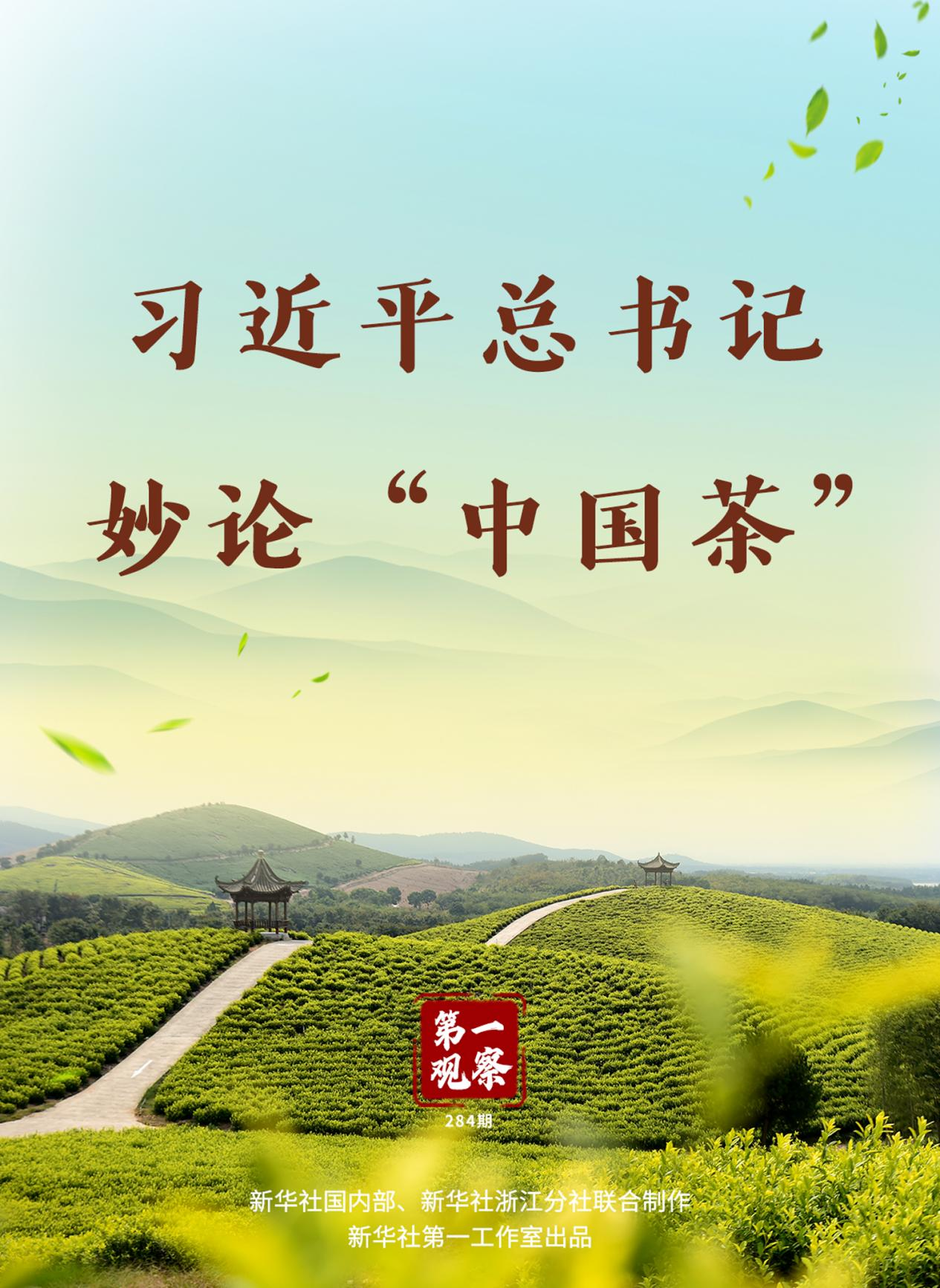 習近平總書記妙論“中國茶”