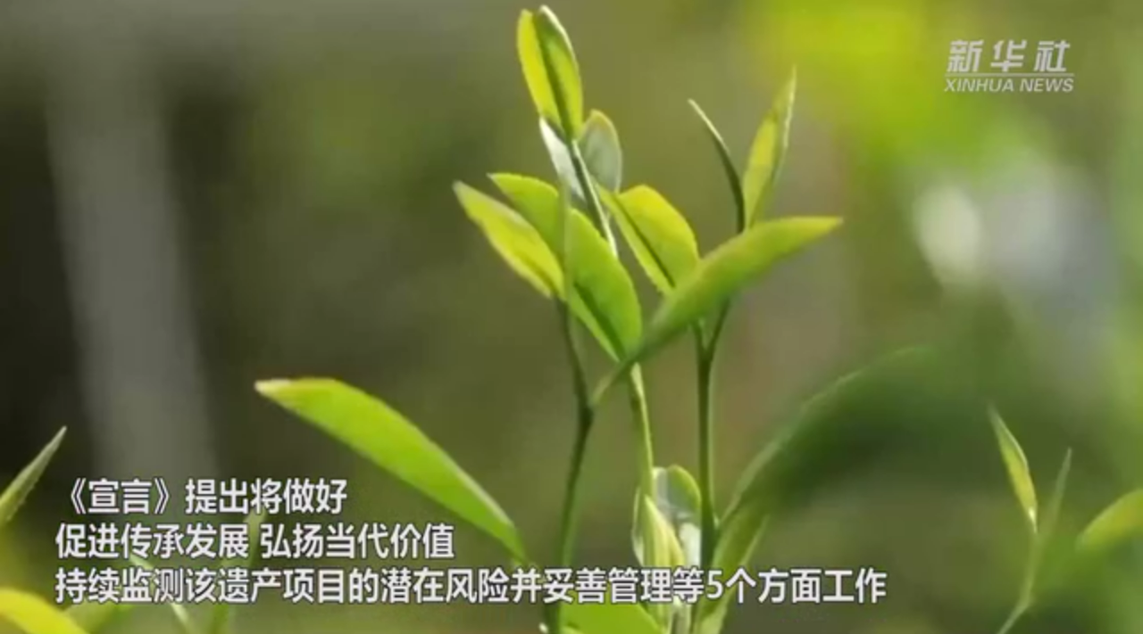 “中國傳統(tǒng)制茶技藝及其相關習俗”保護傳承杭州宣言發(fā)布