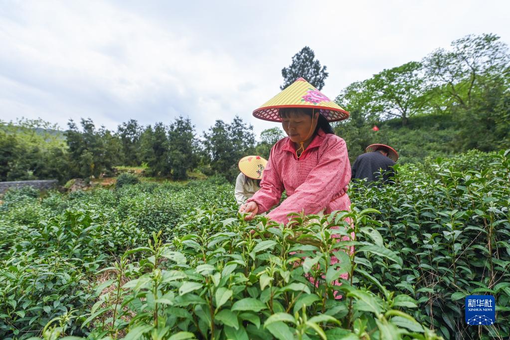 鄉(xiāng)村共富工坊助力百姓就業(yè)增收