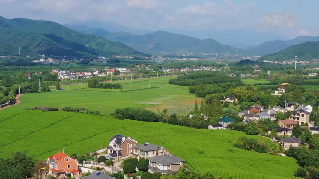 了解這個小鄉(xiāng)村的發(fā)展密碼，一個語言包可不太夠