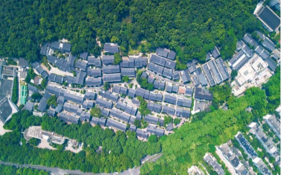 財(cái)通證券聚集團(tuán)合力助力共同富裕