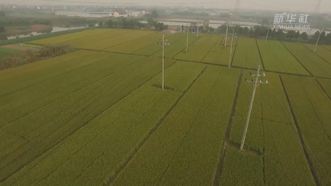 國內首條配網跨區(qū)互聯(lián)智能故障自動修護線路在浙江投運