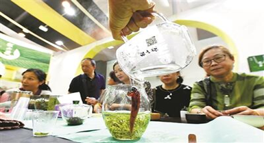茶博會“逛買”進(jìn)行中 這份喝茶“小知識”請參考