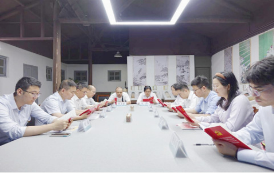 國網(wǎng)杭州市余杭區(qū)供電公司：開展“廉潤浙電”主題黨日活動(dòng)