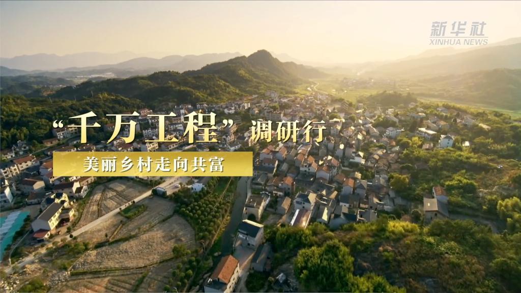 “千萬工程”調研行｜美麗鄉(xiāng)村走向共富